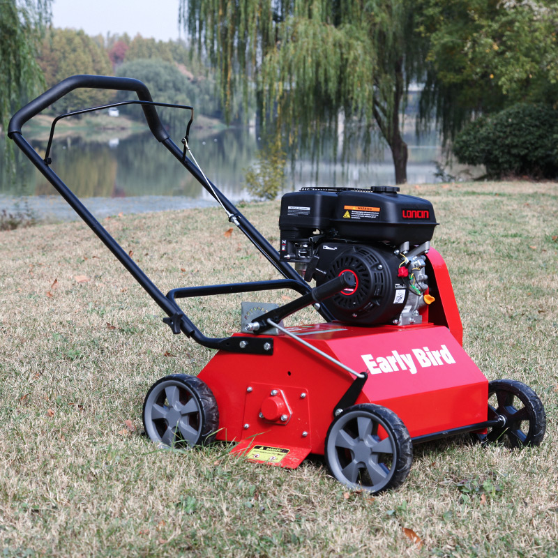 Pettinatrice per prato