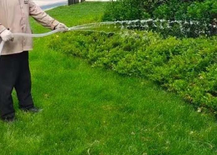 新闻1_画板 1 副本.jpg