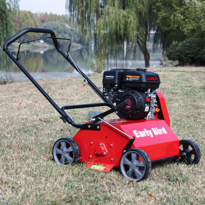 Aerazione e pettinatura del prato