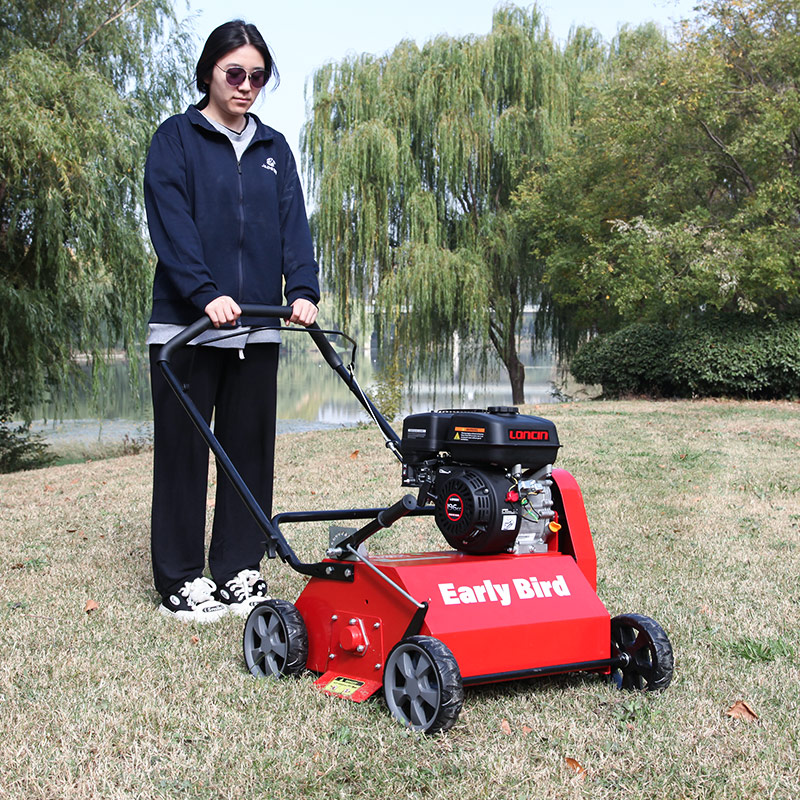 Pettinatrice per prato