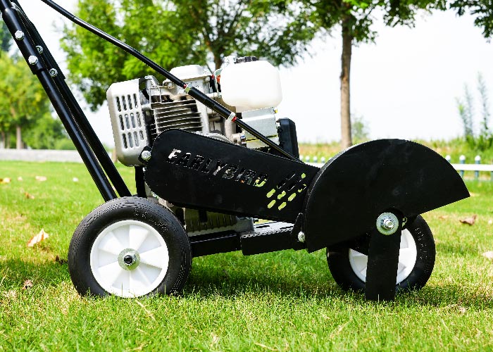 Bordatura del prato erboso Bordatura del prato erboso