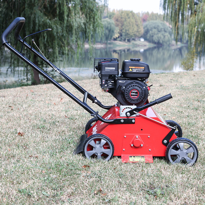 ローンコーマー