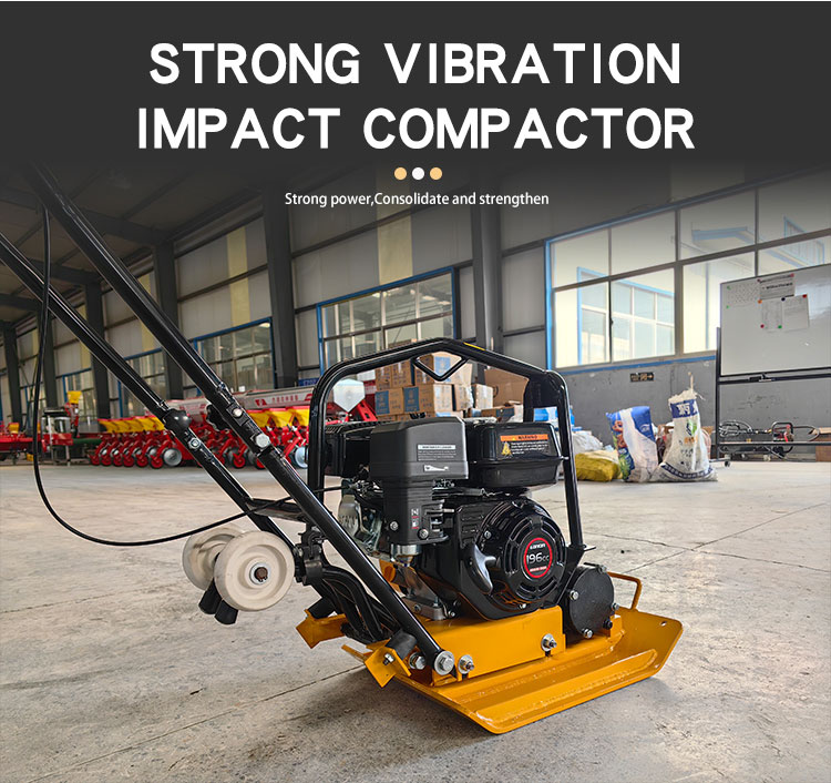 Gasoline Tamping Rammer