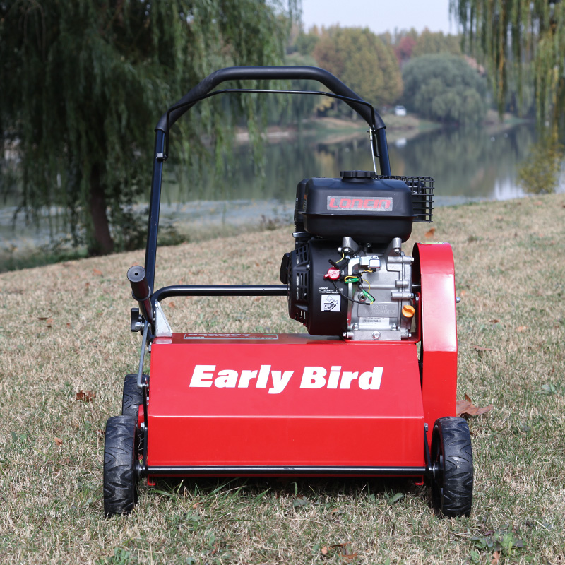 Pettinatrice per prato